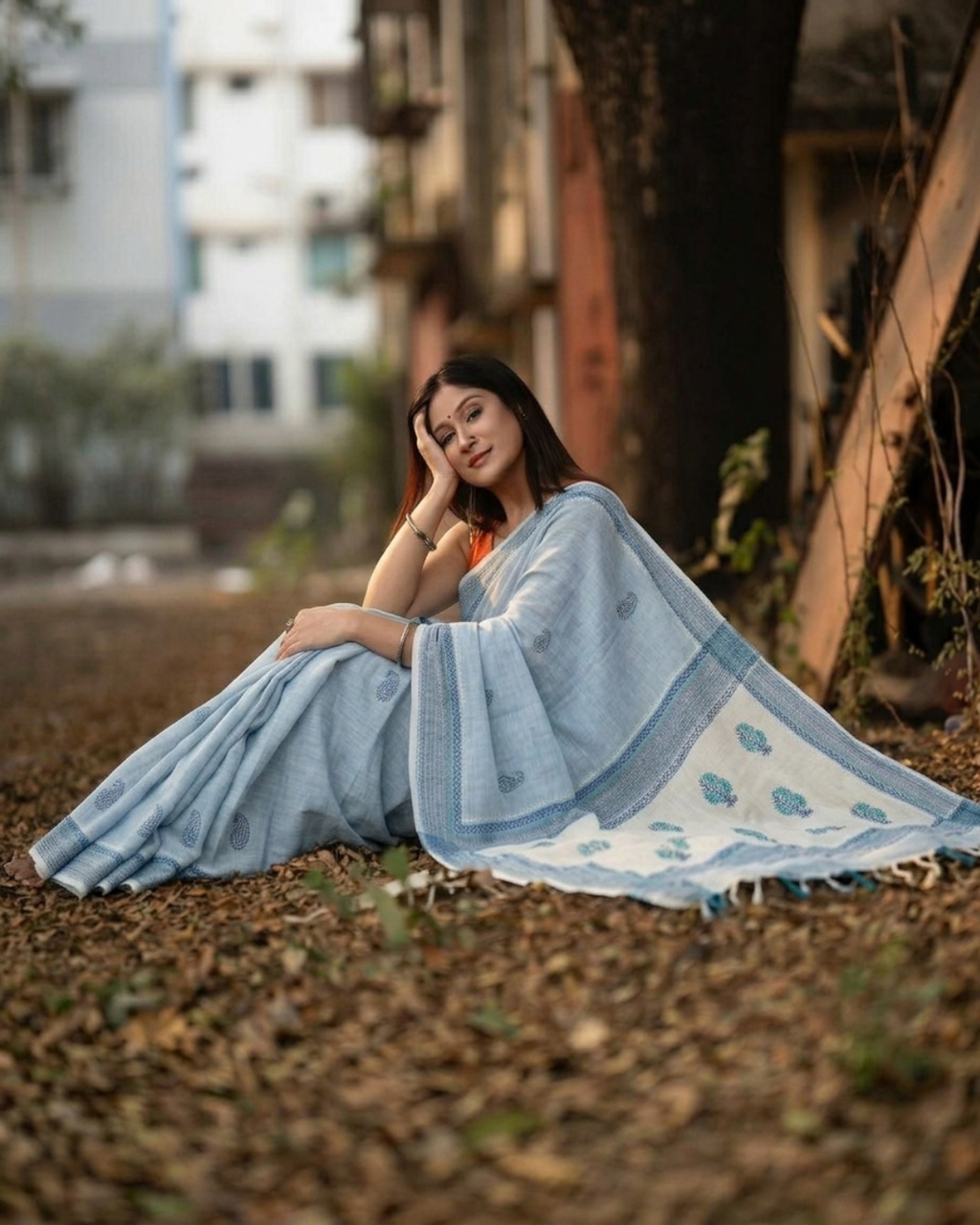 মেঘলা আকাশ